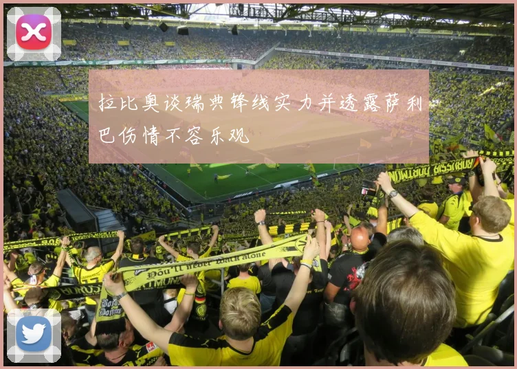拉比奥谈瑞典锋线实力并透露萨利巴伤情不容乐观
