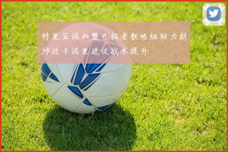 特里亚诺加盟开拓者教练组助力新帅迈卡诺里进攻战术提升